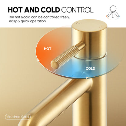 Mexico Single Handle Brushed Gold Bathroom Faucet