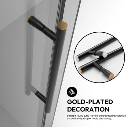 Echarri Single Sliding Frameless Shower Door in Matte Black
