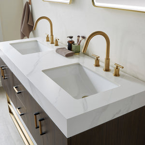 Toledo 60" Double Sink Bath Vanity in Dark Walnut with White Sintered Stone Top