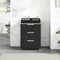 Santarem 24" Oak Weathered Black Partitioned Storage Cabinet