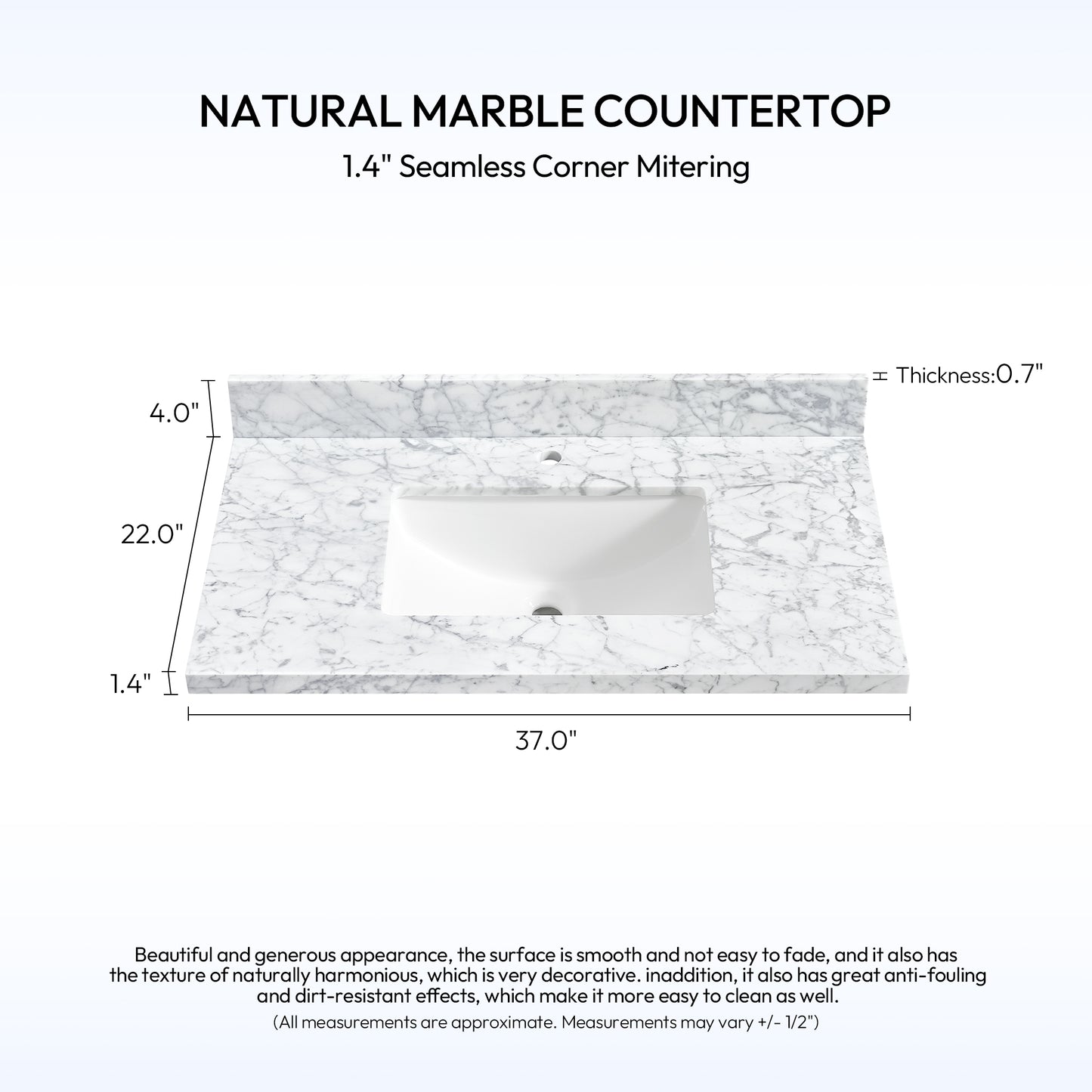 Zevio 37" W x 22" D Natural Marble Vanity Top in Carrara White with White Rectangular Single Sink