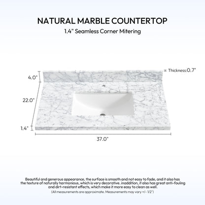 Zevio 37" W x 22" D Natural Marble Vanity Top in Carrara White with White Rectangular Single Sink