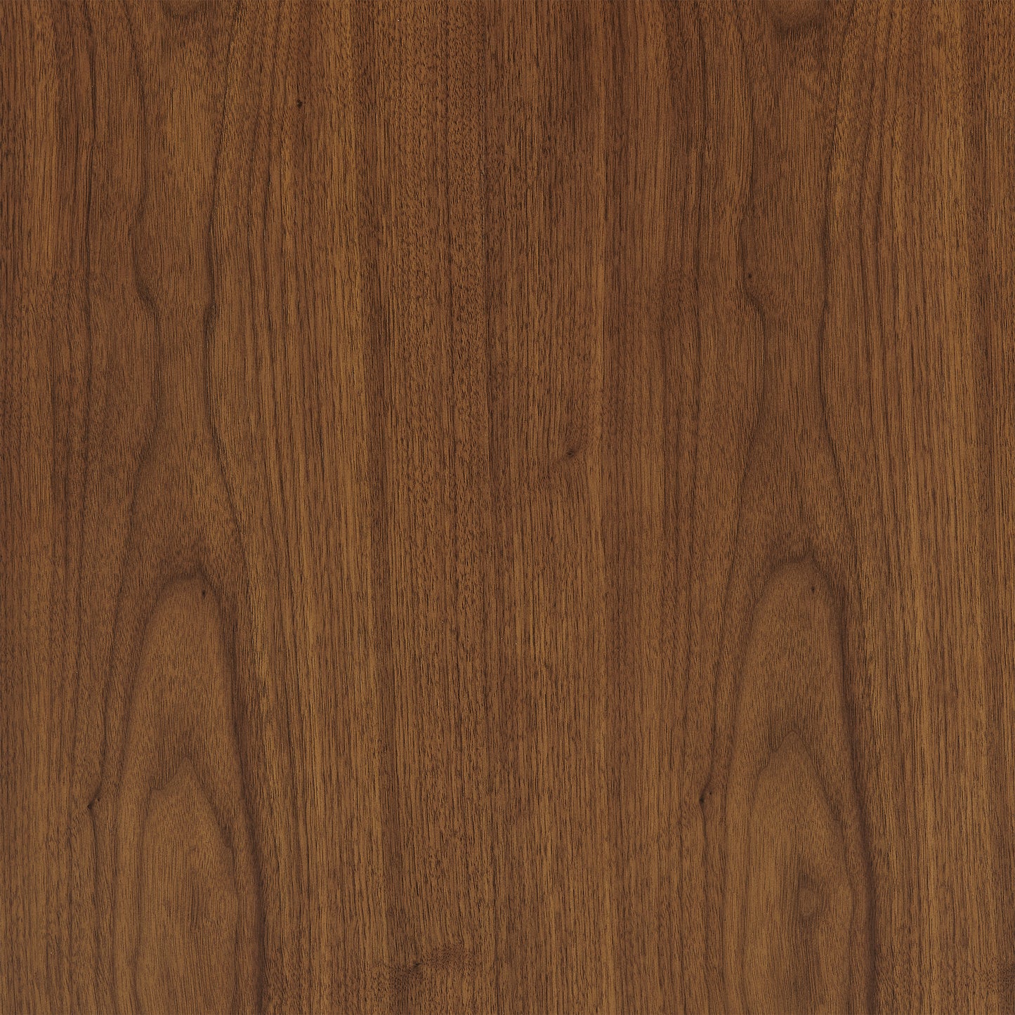 Zogno 48" Single Sink Bath Vanity in Natural Walnut