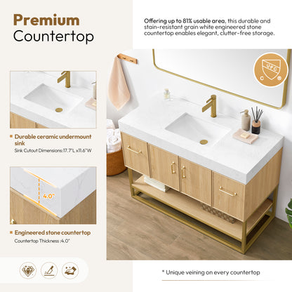 Vittoria 48" Single Bath Vanity in Dark Oak