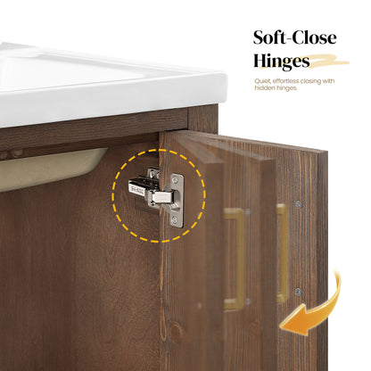 Gela 24" Single Sink Bath Vanity in Spruce Aged Brown and Mirror