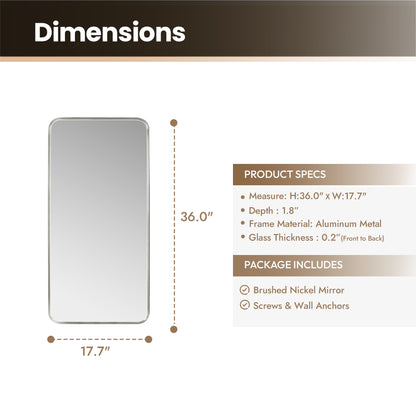 Mutriku 18" W x 36" H Rectangle Metal Wall Mirror in Satin Nickel