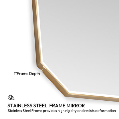 Sabadell 24 in. W x 40 in. H Octagon Metal Wall Mirror