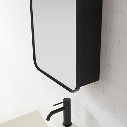 Talayuela 16"W x 24"H Rectangular Aluminum Framed Medicine Cabinet in Brushed Black