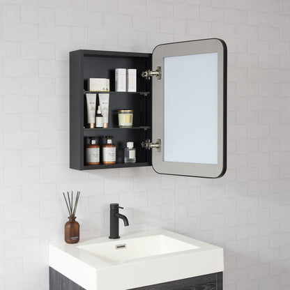 Talayuela 16"W x 24"H Rectangular Aluminum Framed Medicine Cabinet in Brushed Black