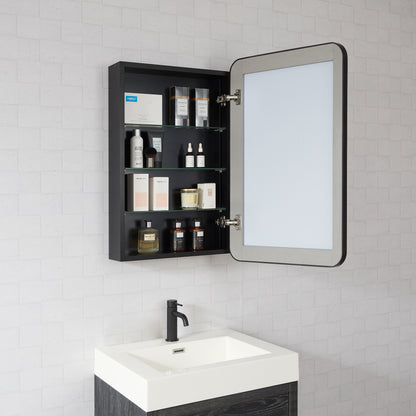 Talayuela 20"W x 32"H Rectangular Aluminum Framed Medicine Cabinet in Brushed Black