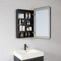 Talayuela 20"W x 32"H Rectangular Aluminum Framed Medicine Cabinet in Brushed Black