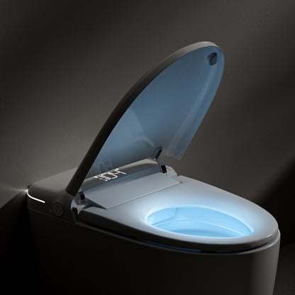Madrid Smart Bidet Toilet MAX Version
