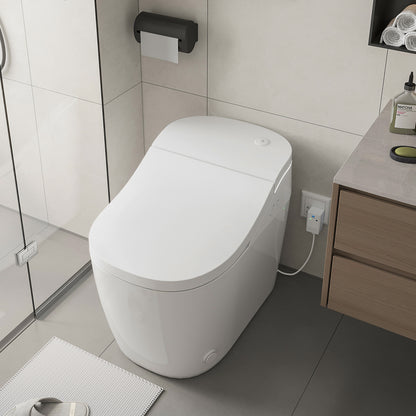 Vittuone Elongated  Smart Bidet Toilet ULTRA PLUS Version