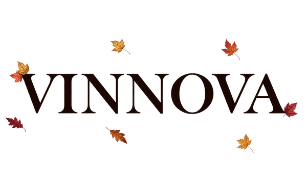 Vinnova Design