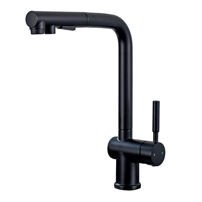 ALPHAUCET Single Handle Pull-Out Sprayer Kitchen Faucet in Matte Black