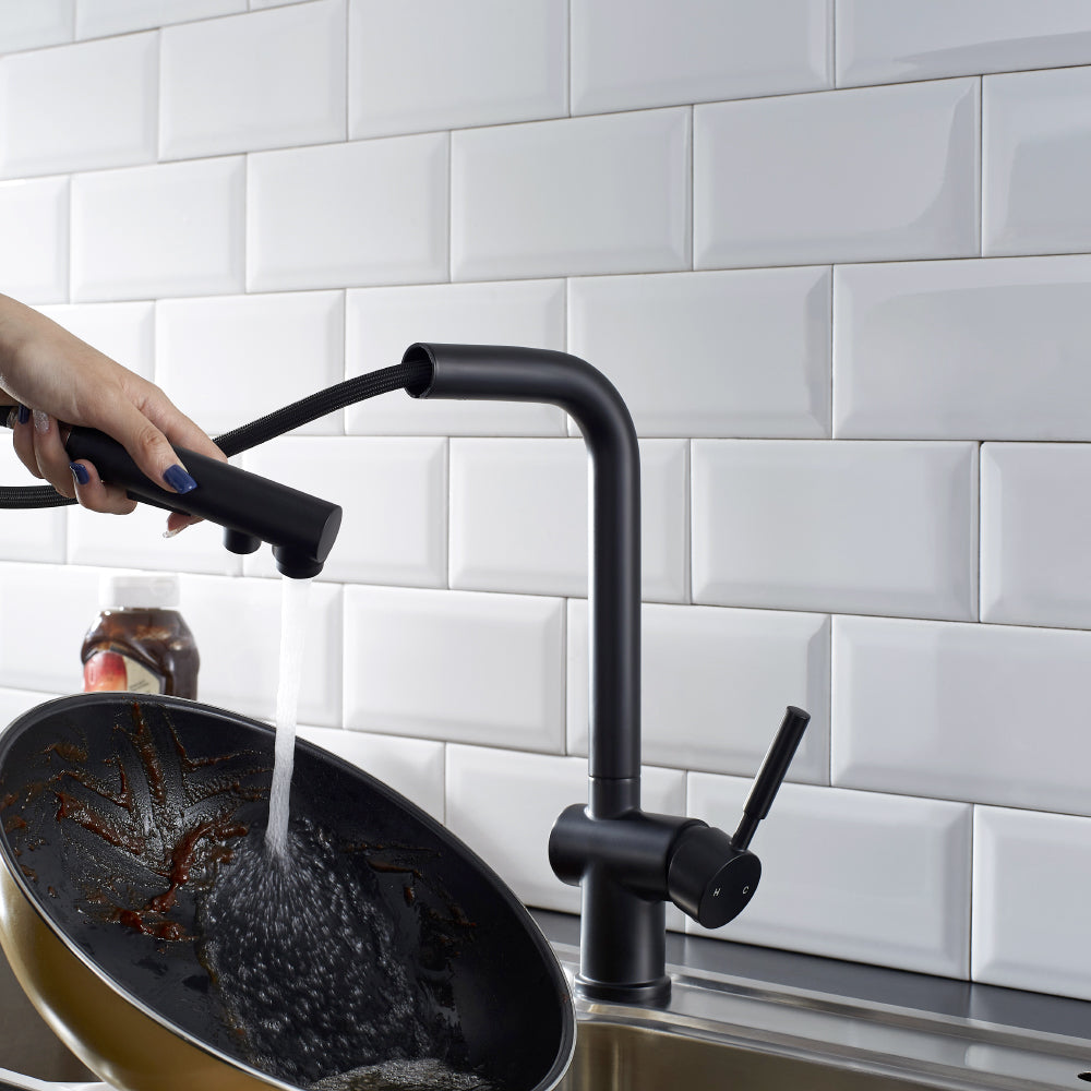 ALPHAUCET Single Handle Pull-Out Sprayer Kitchen Faucet in Matte Black