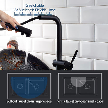 ALPHAUCET Single Handle Pull-Out Sprayer Kitchen Faucet in Matte Black