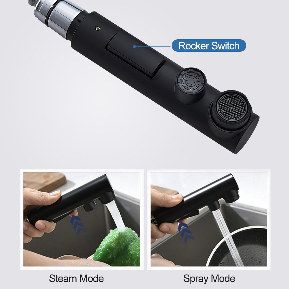 ALPHAUCET Single Handle Pull-Out Sprayer Kitchen Faucet in Matte Black