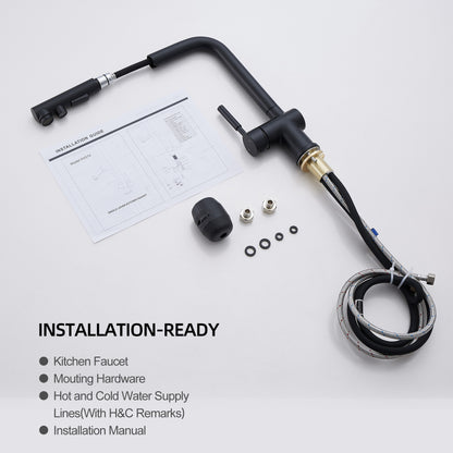ALPHAUCET Single Handle Pull-Out Sprayer Kitchen Faucet in Matte Black