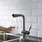 ALPHAUCET Single Handle Pull-Out Sprayer Kitchen Faucet in Gun Gray